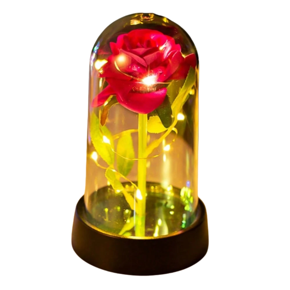 Rose Eternelle - Rouge PurCoeur